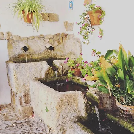 Preciosa Casa De Pueblo Entre Ronda Y Setenil La De Catalina مونتيهمورتو