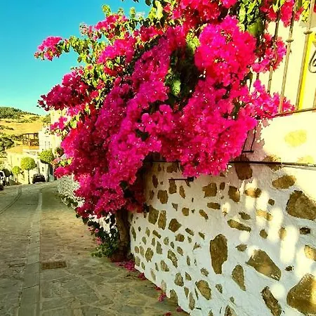 Preciosa Casa De Pueblo Entre Ronda Y Setenil La De Catalina בית נופש מונטקורטו